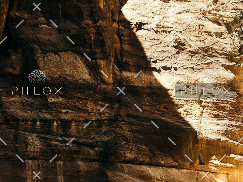 demo-attachment-20-adam-jang-353102-unsplash-1