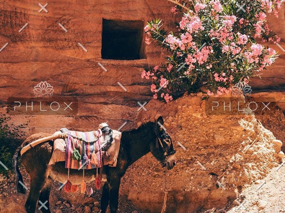 demo-attachment-29-daniel-burka-243389-unsplash