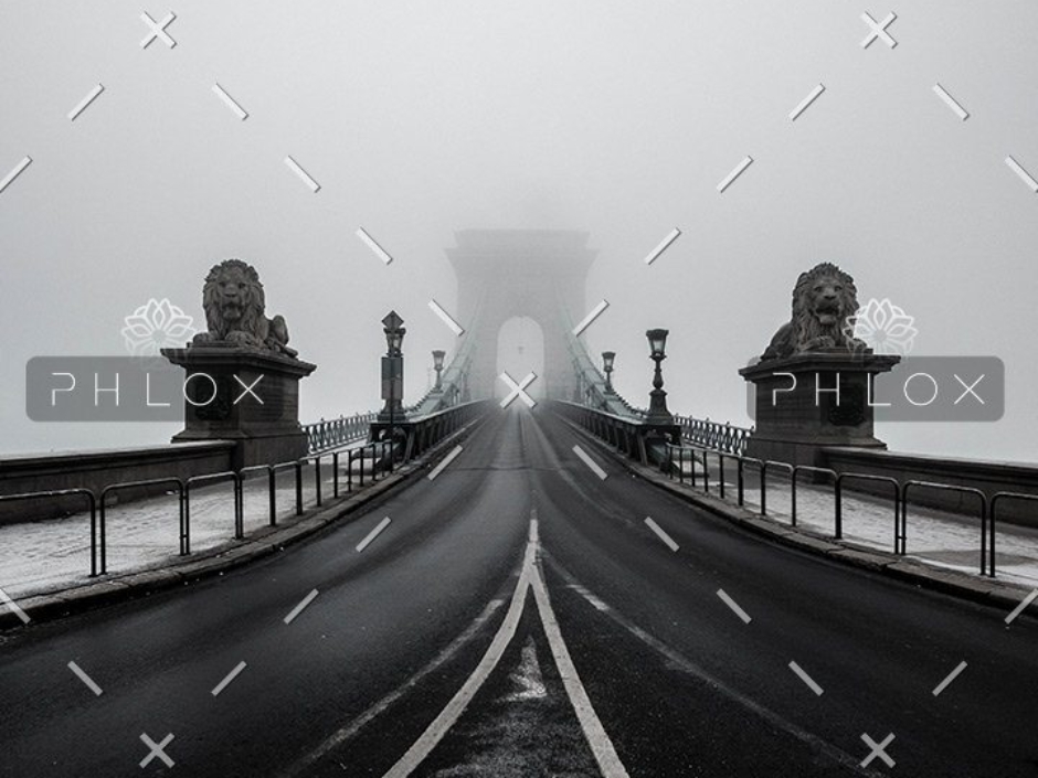 demo-attachment-30-daniel-olah-539758-unsplash