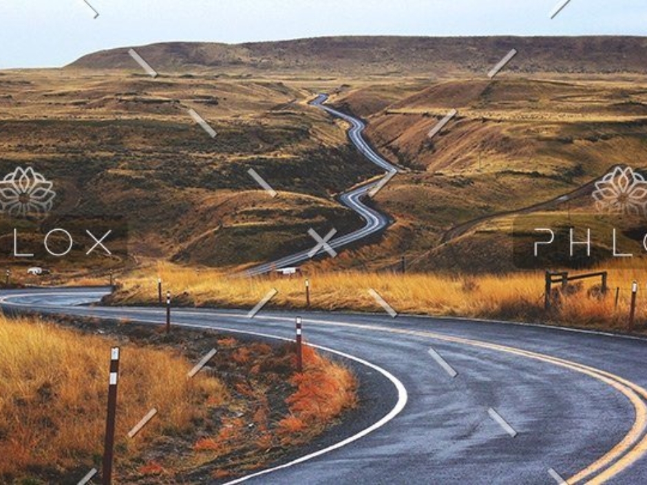 demo-attachment-41-jesse-bowser-5659-unsplash