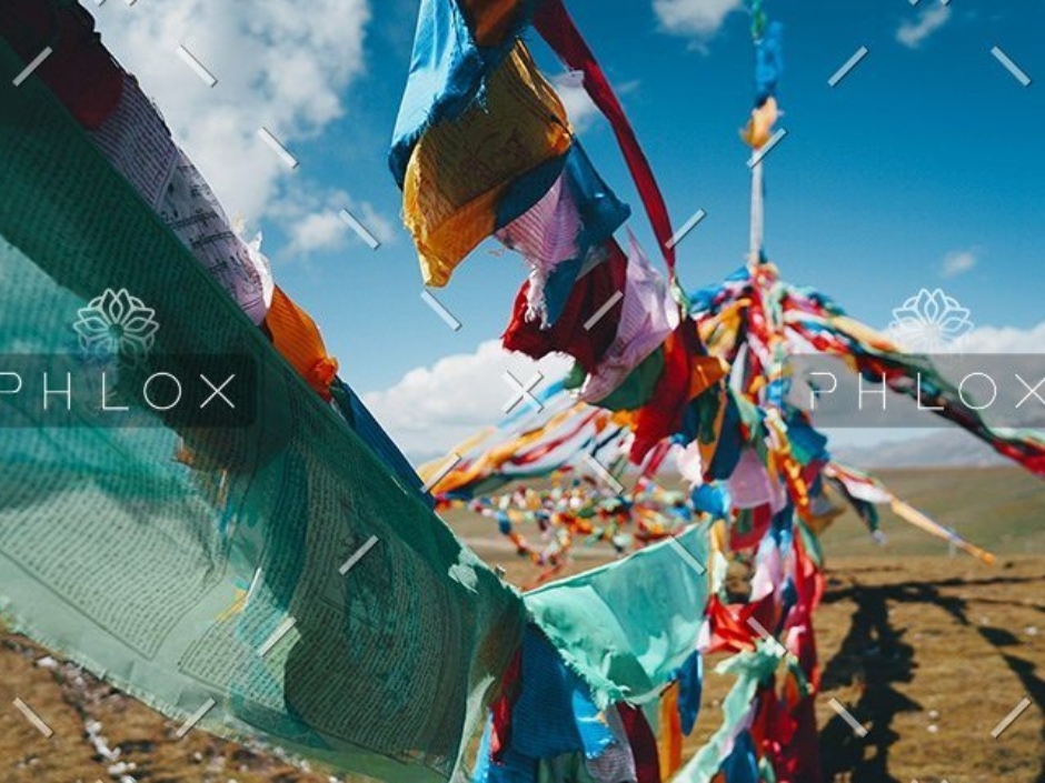 demo-attachment-55-steve-long-400188-unsplash