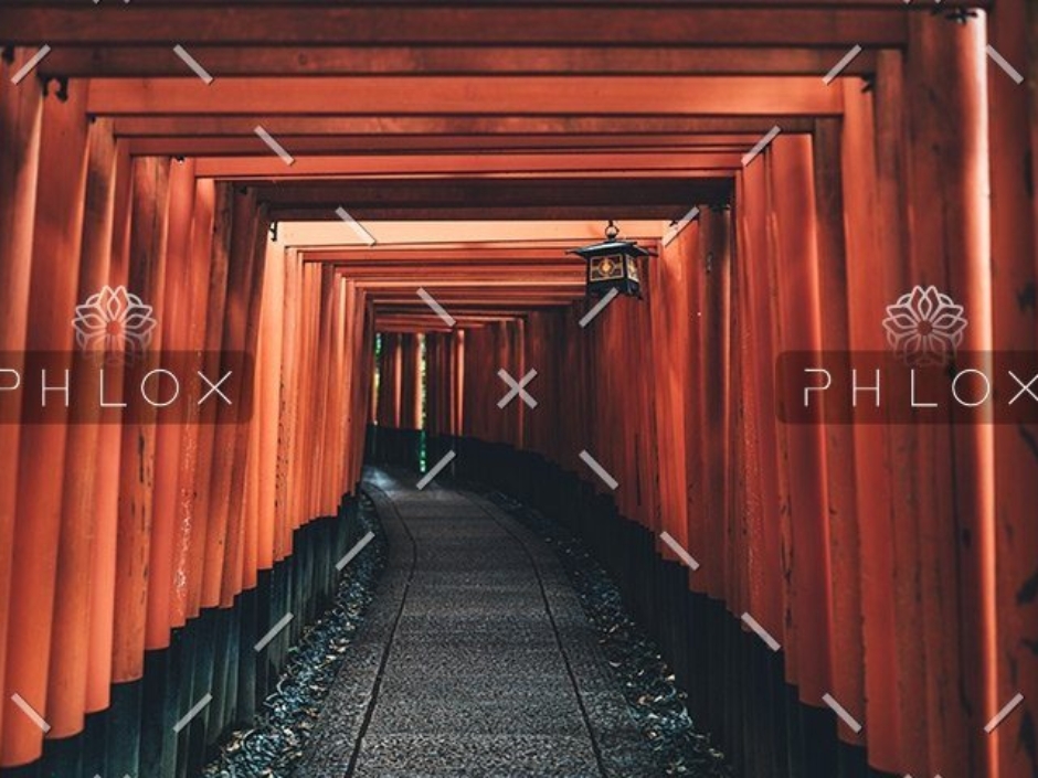 demo-attachment-58-tianshu-liu-395929-unsplash